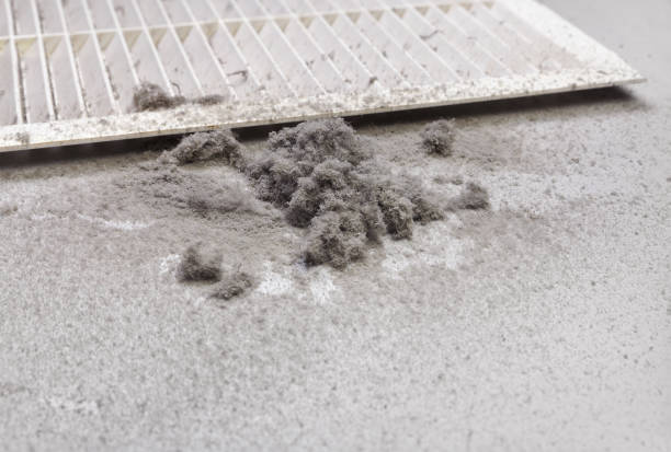 Best Air Duct Sanitizing Services  in Mount Hore, WI
